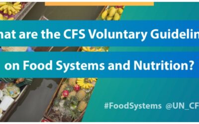 The CFS Voluntary Guidelines On Food Systems and Nutrition (VGFSyN)