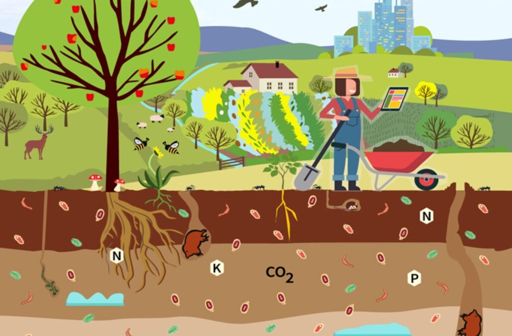 Soil health: Reaping the benefits of healthy soils, for food, people, nature and the climate