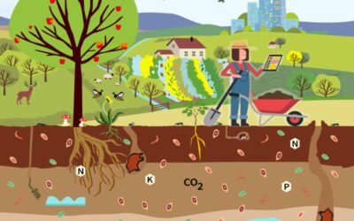 Soil health: Reaping the benefits of healthy soils, for food, people, nature and the climate