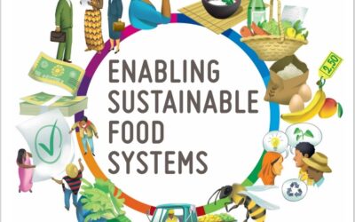 Enabling sustainable food systems. Innovators’ handbook is out