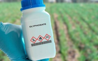 EFSA on Glyphosate: No Critical Areas of Concern