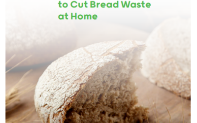 Foodrus: Zero Waste Cooking book