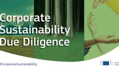 Corporate Sustainable Due Diligence Directive (CSDDD): The Council and the EU Parliament Reached a Provisional Deal