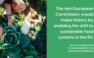 Food Policy Coalition Calls for Urgent Action Towards Sustainable Food Systems
