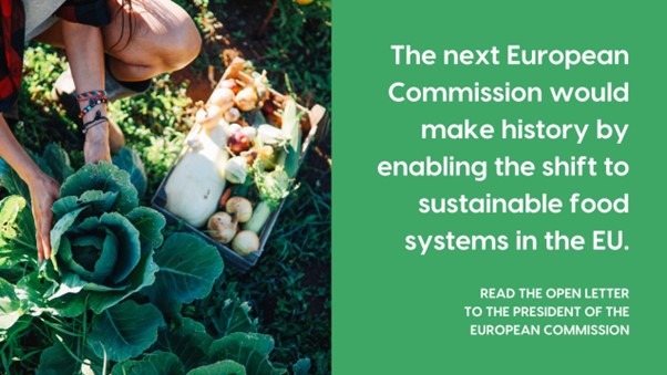 Food Policy Coalition Calls for Urgent Action Towards Sustainable Food Systems